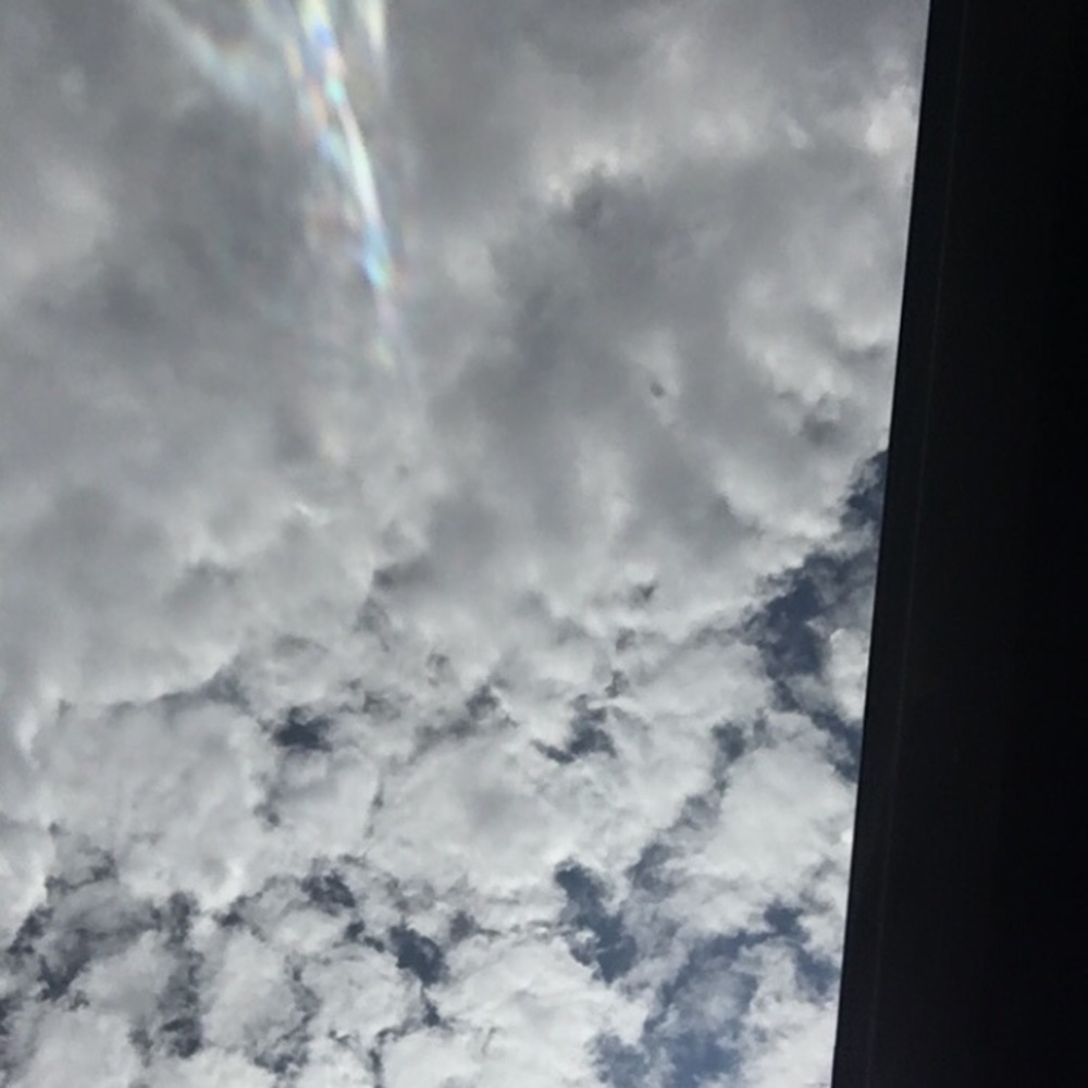 Meet your Posher, Celeste